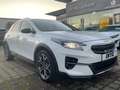 Kia XCeed 1.6 PHEV Platinum LED+Navi+Pano+SD+SHZ Blanc - thumbnail 5