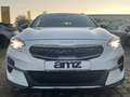 Kia XCeed 1.6 PHEV Platinum LED+Navi+Pano+SD+SHZ Blanc - thumbnail 3