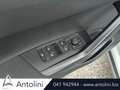 Volkswagen Taigo 1.0 TSI 115 CV DSG Life Argento - thumbnail 10