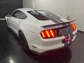 Ford Mustang SHELBY GT350 Blanco - thumbnail 5