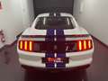 Ford Mustang SHELBY GT350 Blanc - thumbnail 4