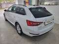 Skoda Superb Superb Kombi 2,0 TDI Ambition *3 Jahre Garantie Weiß - thumbnail 6