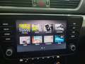 Skoda Superb Superb Kombi 2,0 TDI Ambition *3 Jahre Garantie Weiß - thumbnail 20