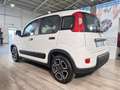 Fiat Panda 1.2 EasyPower City Life GPL Bianco - thumbnail 4