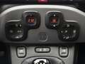 Fiat Panda 1.2 EasyPower City Life GPL Bianco - thumbnail 13