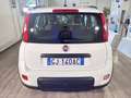 Fiat Panda 1.2 EasyPower City Life GPL Bianco - thumbnail 5