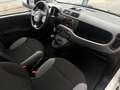 Fiat Panda 1.2 EasyPower City Life GPL Bianco - thumbnail 8