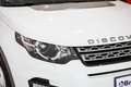Land Rover Discovery 2.0 eD4 SE Bianco - thumbnail 4