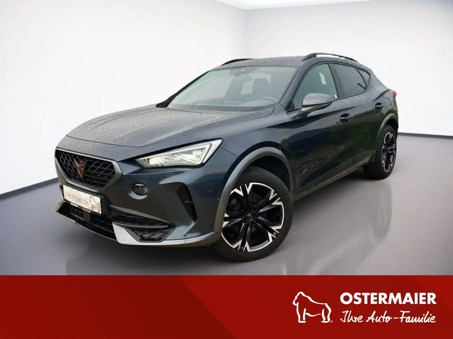 CUPRA Formentor 1.5TSI 150PS DSG LED.KAMERA.NAVI.SITZHZG.PDC Gris - 1