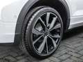 Volkswagen T-Roc 2.0 TDI R-Line AHK ACC PANO MATRIX-LED Weiß - thumbnail 5
