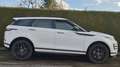 Land Rover Range Rover Evoque D180 R-DYNAMIC AWD 1.HAND Weiß - thumbnail 3