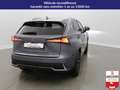 Lexus NX 300h NX 300h 4WD - Pack Cuir Gris - thumbnail 5