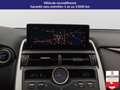 Lexus NX 300h NX 300h 4WD - Pack Cuir Gris - thumbnail 19