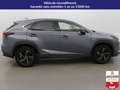 Lexus NX 300h NX 300h 4WD - Pack Cuir Gris - thumbnail 4