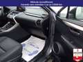 Lexus NX 300h NX 300h 4WD - Pack Cuir Gris - thumbnail 15
