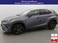 Lexus NX 300h NX 300h 4WD - Pack Cuir Gris - thumbnail 8