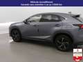 Lexus NX 300h NX 300h 4WD - Pack Cuir Gris - thumbnail 7