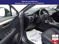 Lexus NX 300h NX 300h 4WD - Pack Cuir Gris - thumbnail 20
