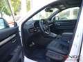 Honda CR-V i-MMD HYBRID EU6d e PHEV 2.0 Autom. Advance Tech 2 Rot - thumbnail 12