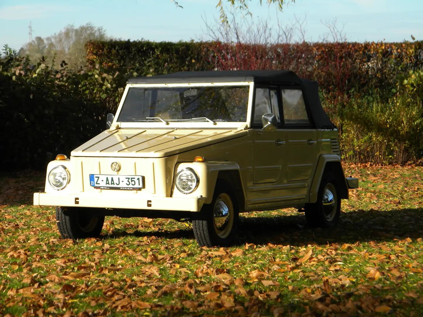 Volkswagen 181 Beige - 1