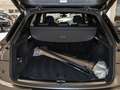 Audi Q5 S line 40 TDI quattro S tronic AHK AIR Matrix Grau - thumbnail 7