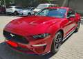 Ford Mustang Fastback 2.3 EcoBoost Aut. - thumbnail 10