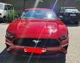 Ford Mustang Fastback 2.3 EcoBoost Aut. - thumbnail 11