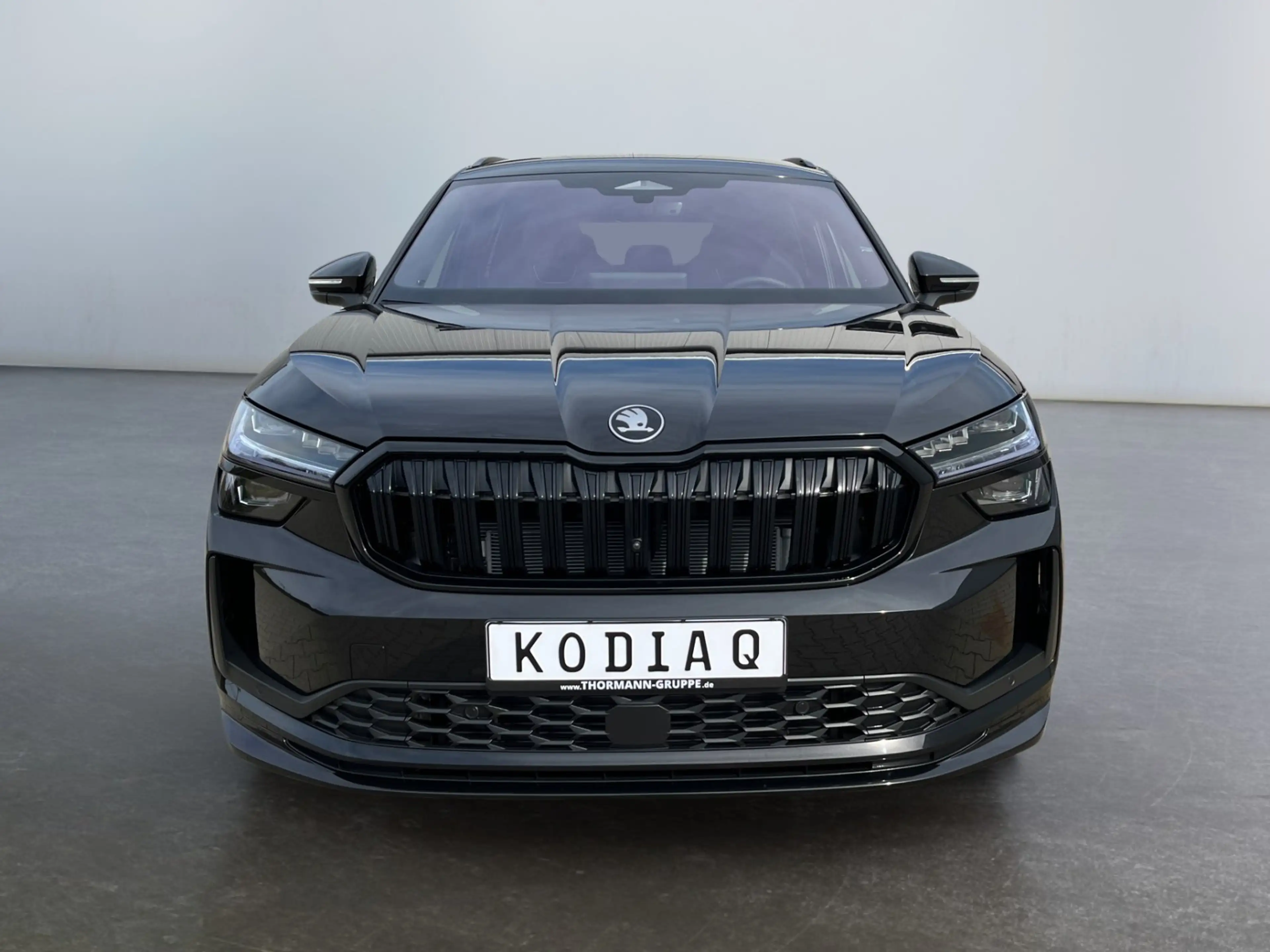 Skoda Kodiaq Sportline 2.0 TDI 4x4 DSG Matrix-LED AHK — photo 6