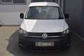 Volkswagen Caddy Kombi 2,0 TDI NAVI /  NETTO: 13.316 € Weiß - thumbnail 3