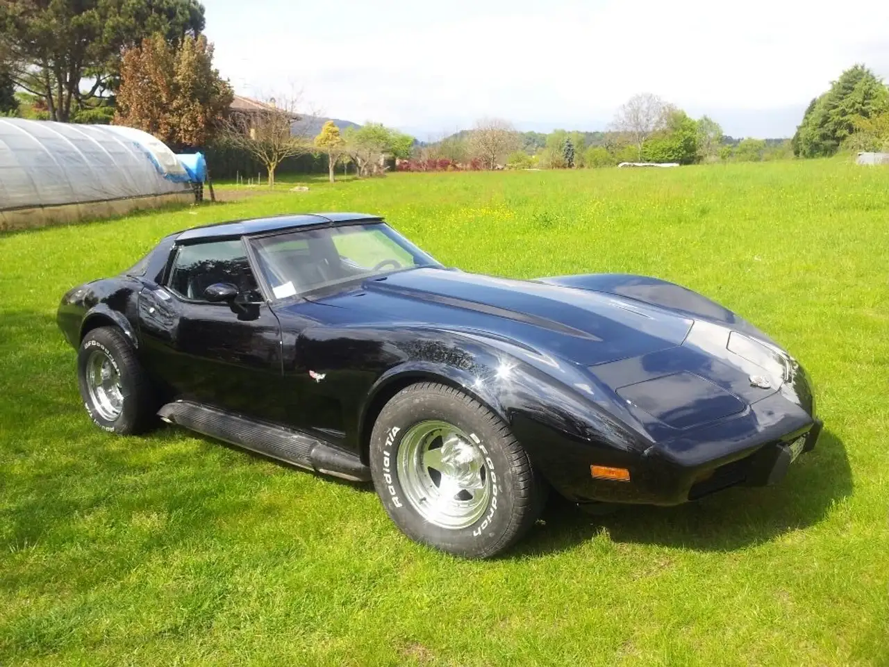 Chevrolet Corvette venticinquesimo Anniversario, foto 6