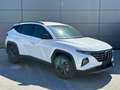 Hyundai TUCSON NX4 Trend Line PLUS 1,6 CRDi 4WD 48V DCT t1dr0 Weiß - thumbnail 1