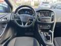 Ford Focus Trend.Neue TÜV, Neue Inspektion Bleu - thumbnail 12