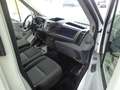 Ford Transit Transit Kasten 2,0 TDCi L2H2 290 Startup**PDC** Weiß - thumbnail 11