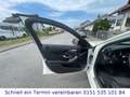 Mercedes-Benz C 200 T-Modell d G-Tronic Plus/AHK/1.Hand/TÜV N Weiß - thumbnail 16