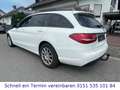 Mercedes-Benz C 200 T-Modell d G-Tronic Plus/AHK/1.Hand/TÜV N Weiß - thumbnail 7