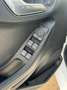 Ford Fiesta Fiesta 5p 1.5 ecoblue Titanium 85cv s Weiß - thumbnail 15