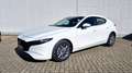 Mazda 3 G140PS 6MT  PRIME - LINE Weiß - thumbnail 2