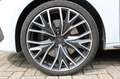 CUPRA Leon 2.0 TSI DSG +NAVI+SHZ+ACC+LED+PDC+DAB+BEATS Weiß - thumbnail 21