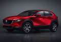 Mazda CX-30 2.5 e-Skyactiv-G Takumi BLOP FWD 103kW - thumbnail 40