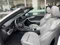 Audi A5 Cabrio 40 2.0 tdi Sport 190cv s-tronic S LINE White - thumbnail 8