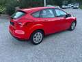 Ford Focus 5T Trend, Winterpaket, P57a bis 02/26 Rot - thumbnail 3