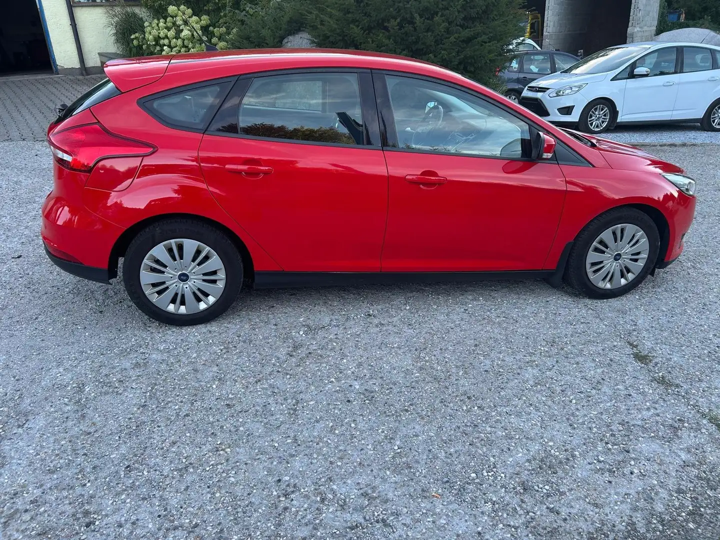 Ford Focus 5T Trend, Winterpaket, P57a bis 02/26 Rot - 1