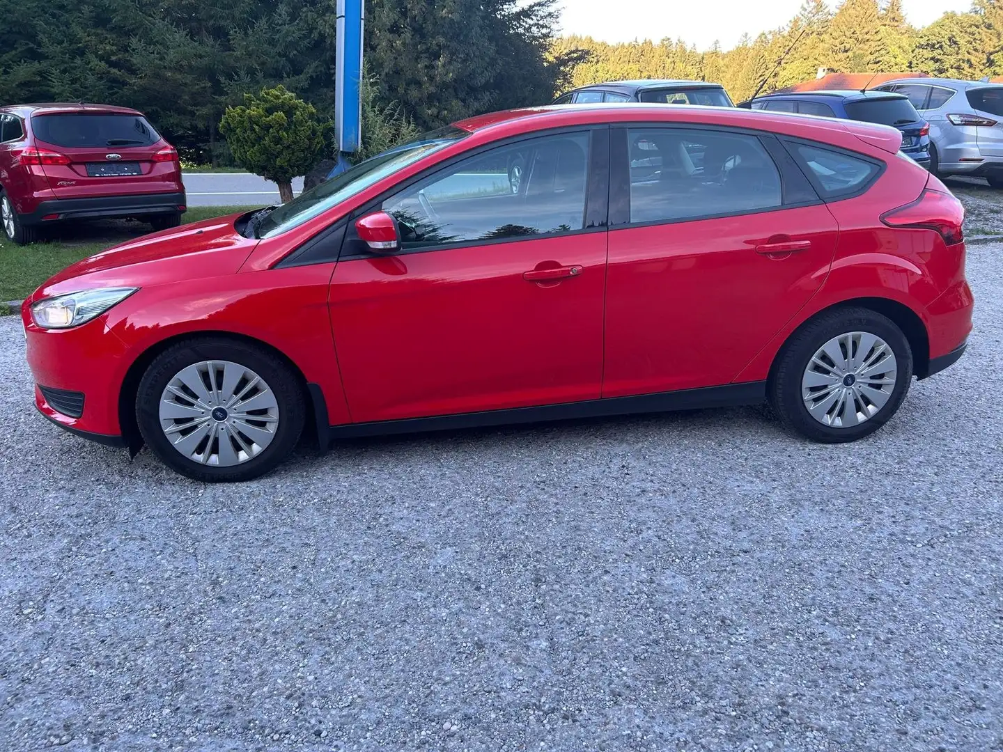 Ford Focus 5T Trend, Winterpaket, P57a bis 02/26 Rot - 2