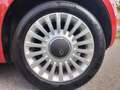 Fiat 500 EURO 5 - UNICO PROPRIETARIO Bianco - thumbnail 15