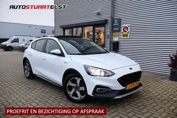 1.0 Hybrid Active Business 1e Eigenaar | NL-Auto |