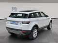 Land Rover Range Rover Evoque 2.0 Td4 SE Weiß - thumbnail 6