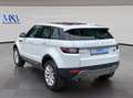 Land Rover Range Rover Evoque 2.0 Td4 SE Weiß - thumbnail 4