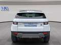 Land Rover Range Rover Evoque 2.0 Td4 SE Weiß - thumbnail 5