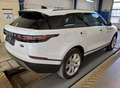 Land Rover Range Rover Velar Hybrid LED 20" Nav FahrAss+Kam Weiß - thumbnail 2