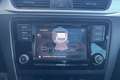 Skoda Rapid/Spaceback 1.4 TDI 90 CV Ambition Argento - thumbnail 10